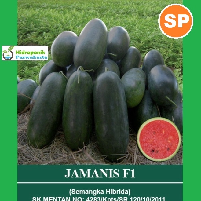 KHR.20Jn23м ‑ BENIH SEMANGKA HIBRIDA JAMANIS F1 TIPE INUL ISI 30 BUTIR CAP MUTIARA BUMI