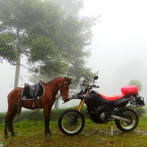 M15 Side Rack / Pannier Bracket / Side Guard Crf 250 Rally