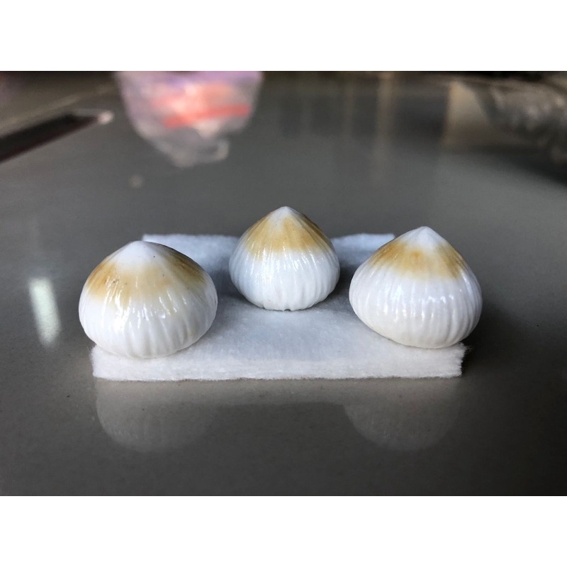 Batu Kelapa Asli Kalimantan batu dari Dalam Buah Kelapa Warna Putih Bersih