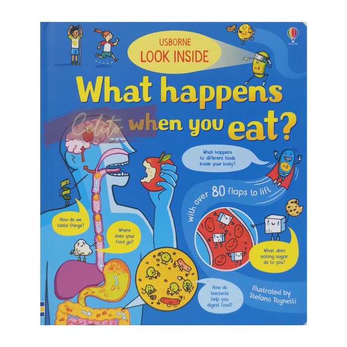 Teena Buku Usborne Book Look Inside What Happens When You Eat?