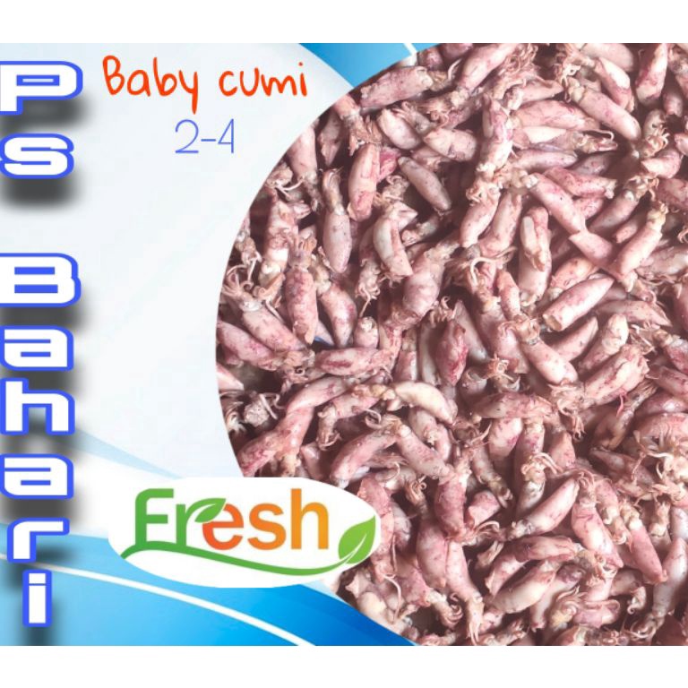 

FLASH SALE G25 CUMI ASIN 500 GRAM BABY CUMI ASIN 500 GRAM ㍽