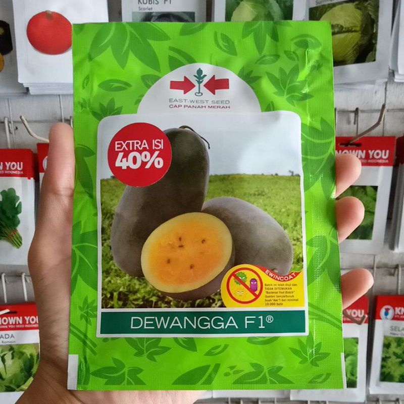 Benih Semangka Kuning Dewangga F1 Isi 20gr