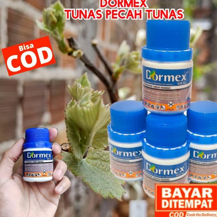 Termurah Dormex Original 520 Sl Hidrogen Sianamida Hydrogen Cyanamide