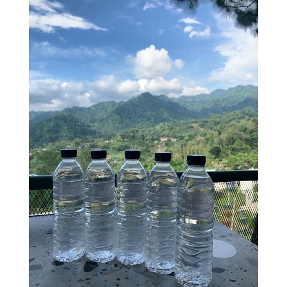 

[KODE PRODUK RR8GE6541] minuman kelapa herbal khas bali 40%