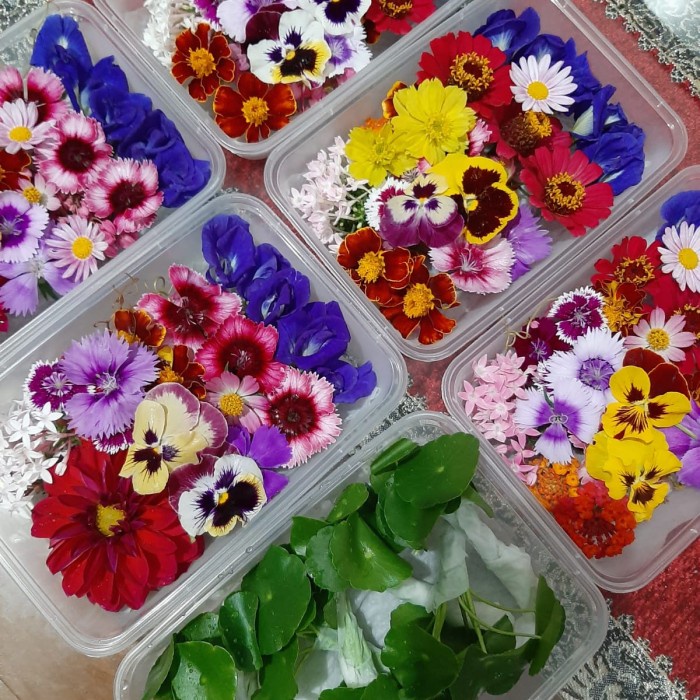 

Terlaris Edible Flowers