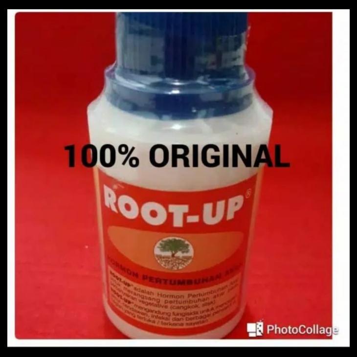 ZPT/PERANGSANGG AKAR/OBAT CANGKOK DAN STEK/ROOT UP KODE 662