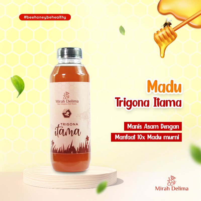 

Madu Klanceng - Trigona Itama - 500 ml