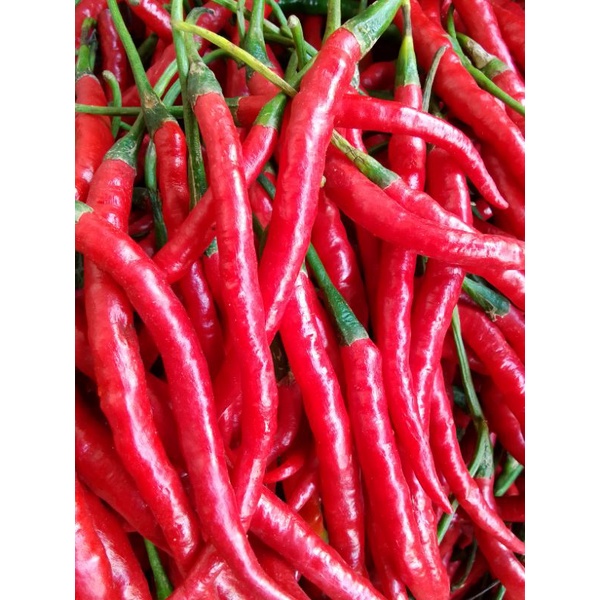 

cabai kriting merah 500gram