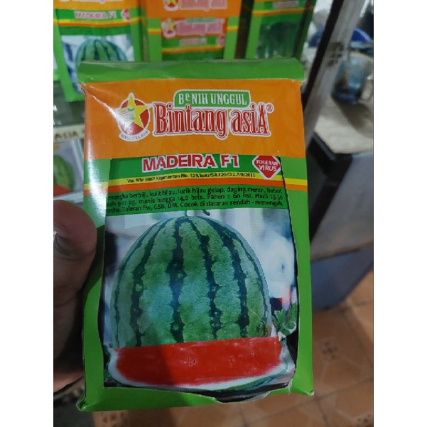 Benih Semangka Lorek Berbiji MADEIRA F1 20 gr Cap Bintang Asia