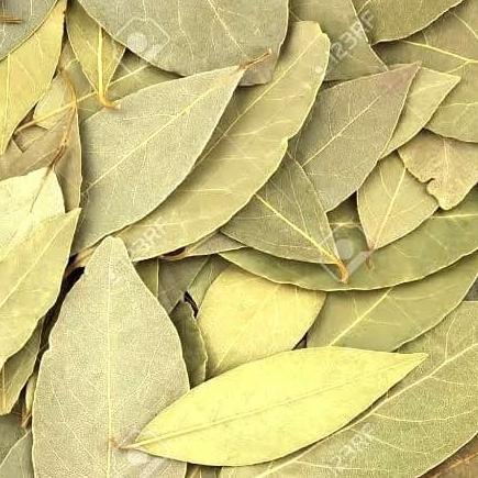 

BAY LEAVES DRIED - 250 gram/ DAUN SALAM KERING IMPORT TURKEY