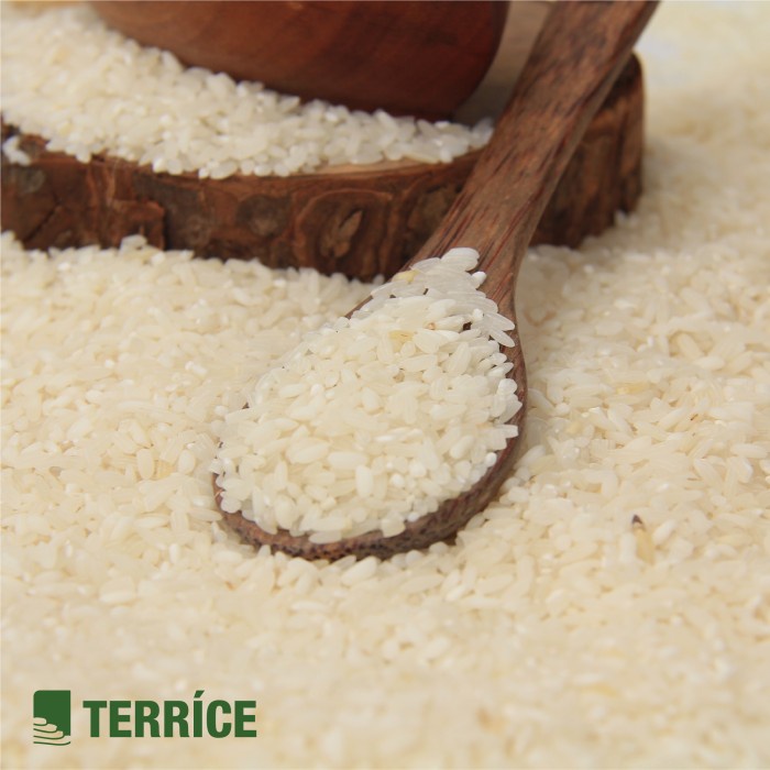 

Paket Hemat Beras Putih Organik Terrice Menthik Susu Pulen Isi 2 X 1Kg