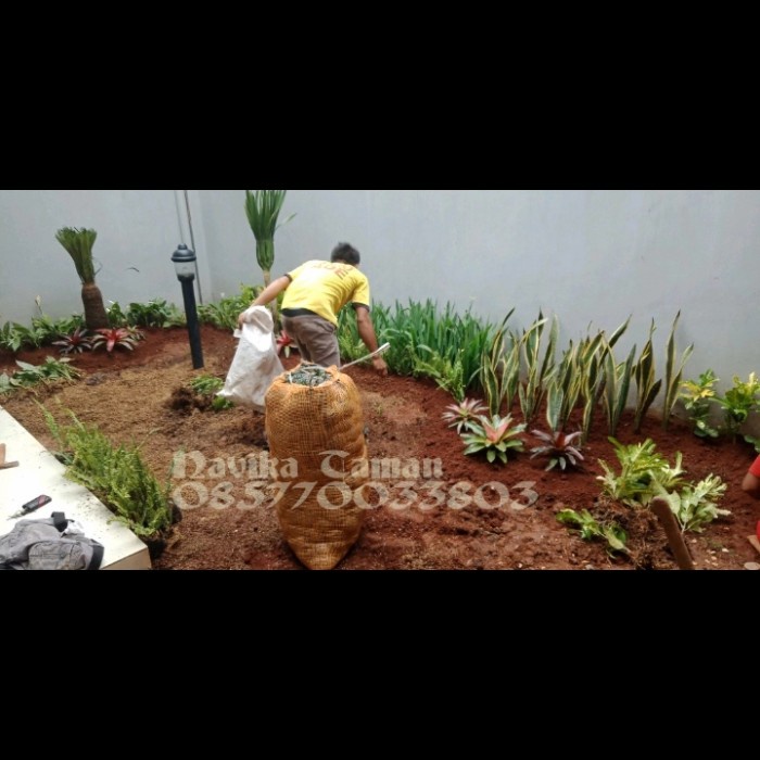 MUST HAVE TUKANG TAMAN KERING MINIMALIS - BIKIN TAMAN KERING - TUKANG TAMAN TERLARIS