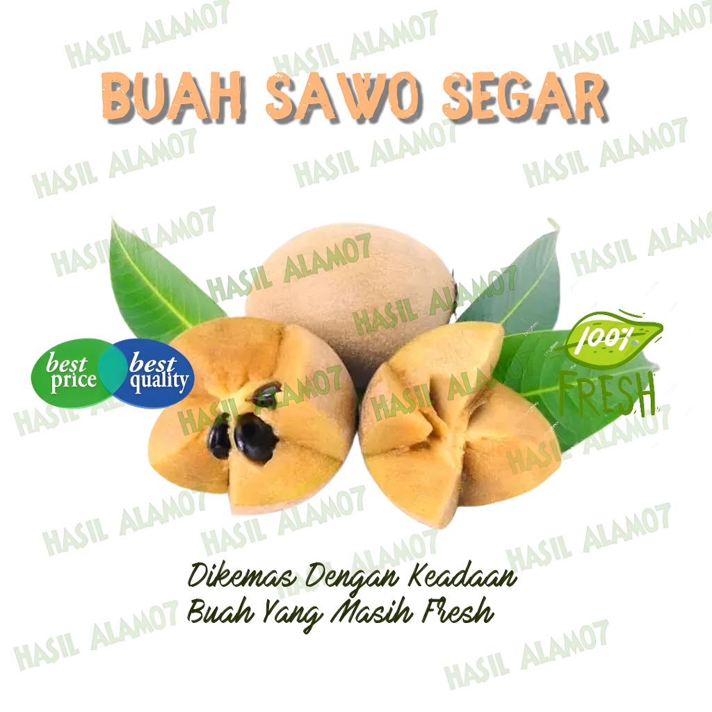 

Buah Sawo Matang Fresh 1kg