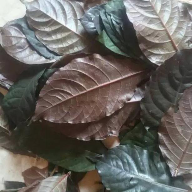

Limited [ Promo ] Daun Ungu / Handeuleum Wasir 250Gram