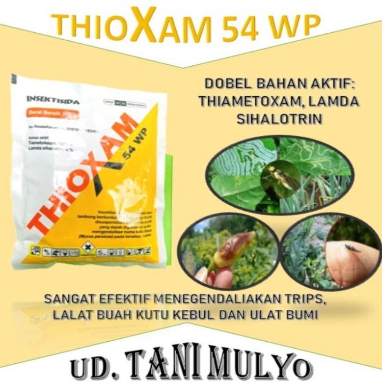 Terbaik Insektisida Dan Akarisida Thioxam 54 Wp 200 Gr 2023