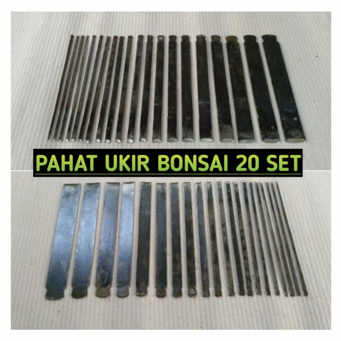 

Terlaris Pahat Ukir Bonsai Set 20 Ukuran