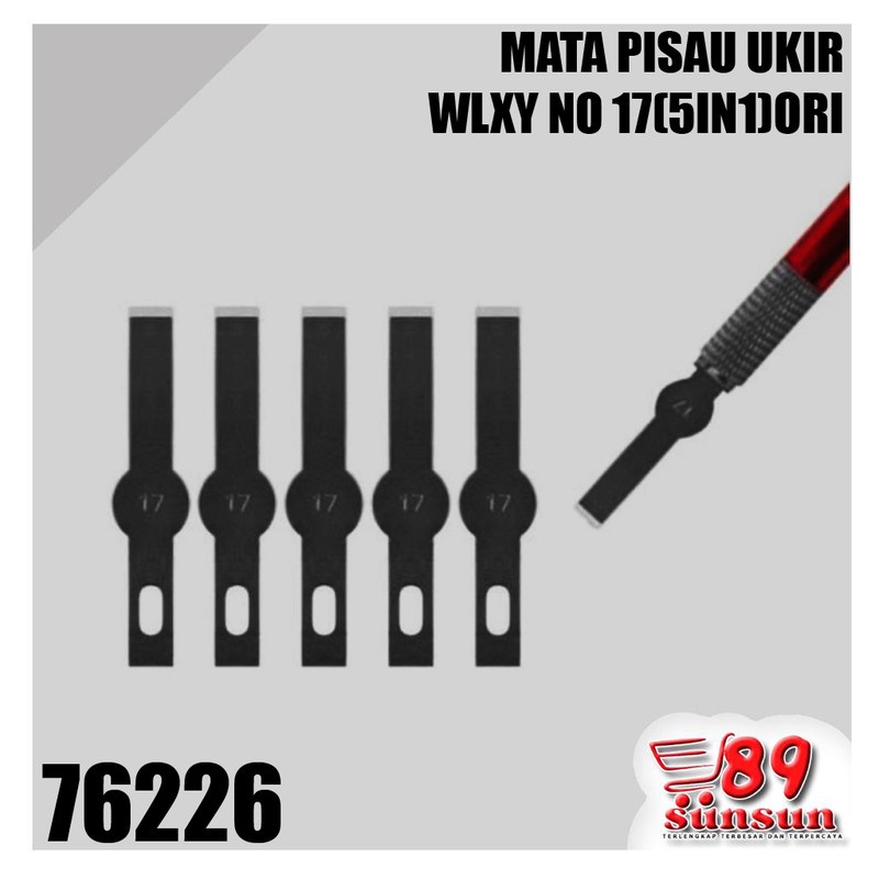 MATA PISAU UKIR WLXY NO 17(5IN1)ORI