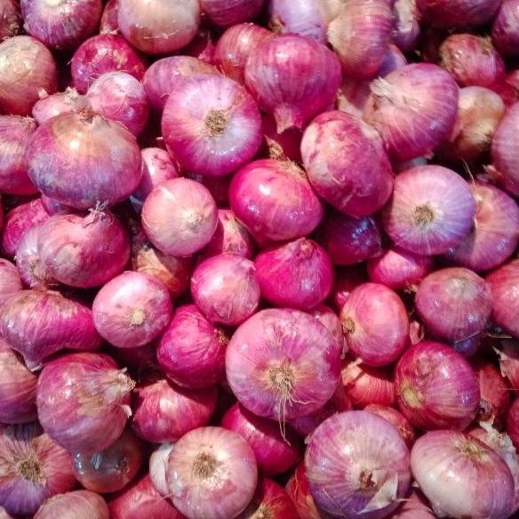 

trx0w0Vk BAWANG MERAH PEKING 1KG / BAWANG INDIA 1kg