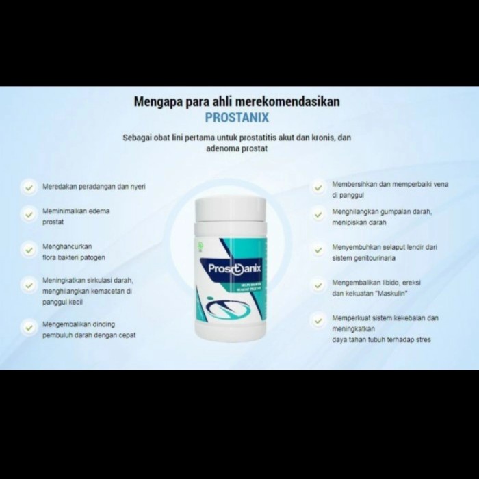 

Prostanic obat prostage ampuh herbal