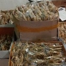 

Piscoklegit_ 200Gram Kripik Belut Krispy.. Produksi Sendiri