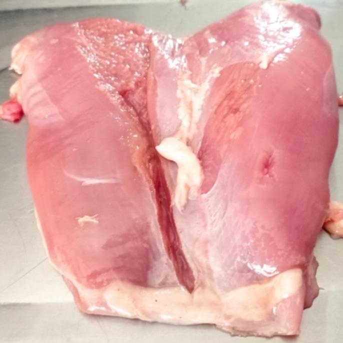 

daging filet dada bebek murah banget