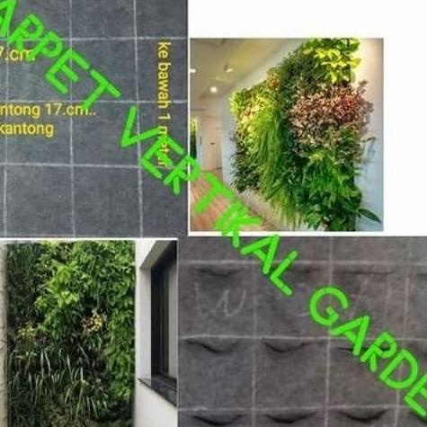Ready karpet vertical garden geotextile