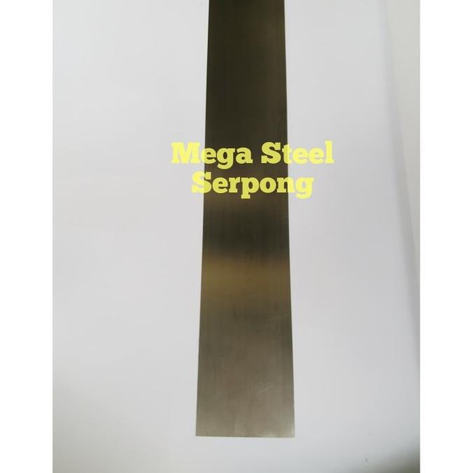 Lis Plank Plint Skirting Hairline Stainless Steel Uk. 10 cm x 122 cm