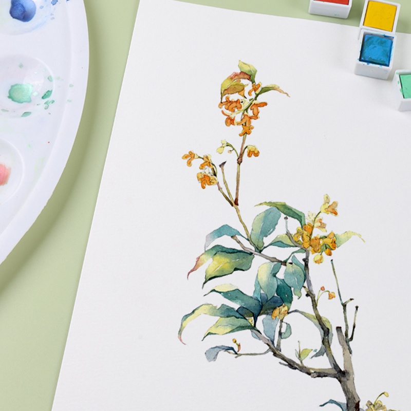 

Z1A GIORGIONE CAT AIR WATERCOLOR PAD A3/A4/A5 G-WB30 SA3