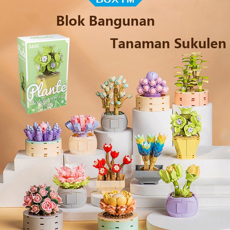 ★★ MJW Pot Sukulen Bunga DIY Mini Flower Block / Mainan Kreatif Ruang Dekorasi Buket / Tanaman Kehid