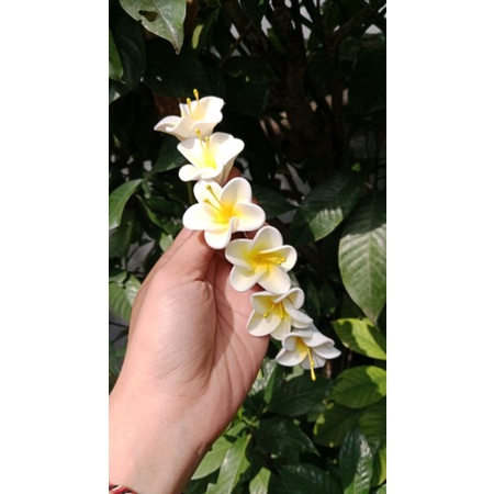 semanggi jepun deret 1