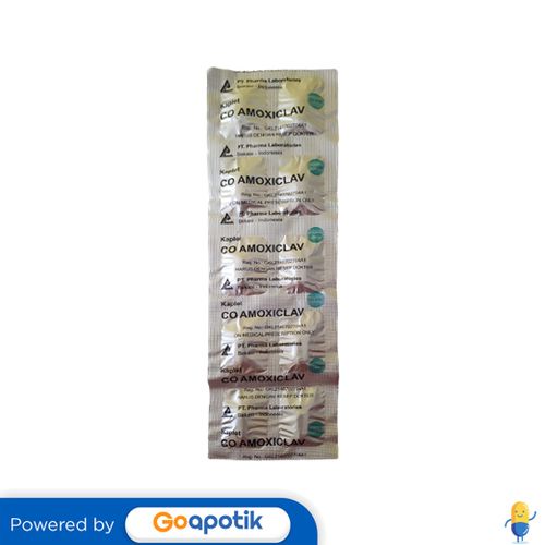 CO-AMOXICLAV PHARMA LAB STRIP 10 KAPLET