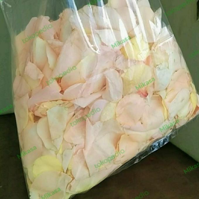 

New Rose Pentals / Kelopak Mawar Peach Salem Fresh