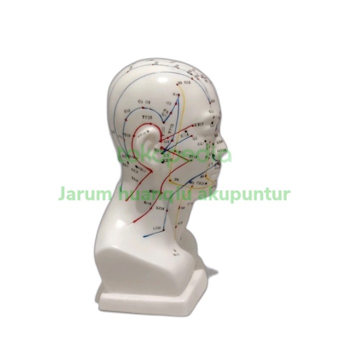 Terlaris Patung Kepala Akupuntur/Acupunture/Akupunktur/Manekin Hwato/Hwato