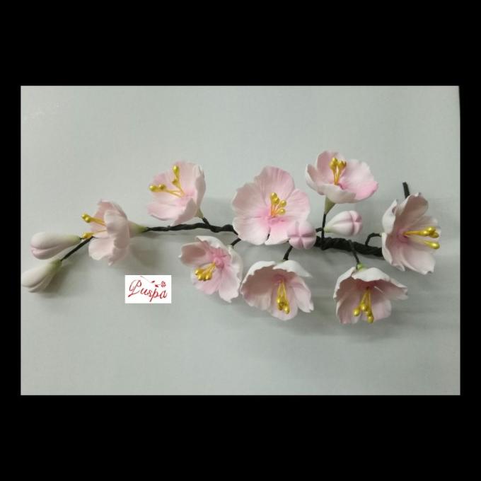 

Terbaru (346/Prsacb)Gumpaste Flower/Bunga Flower Sakura Cherry Blossom