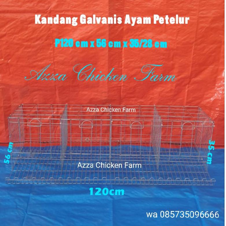 Limited - kandang ayam petelur galvanis ~