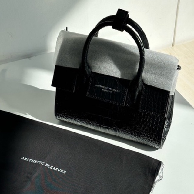 Aesthetic Pleasure Croco Mini