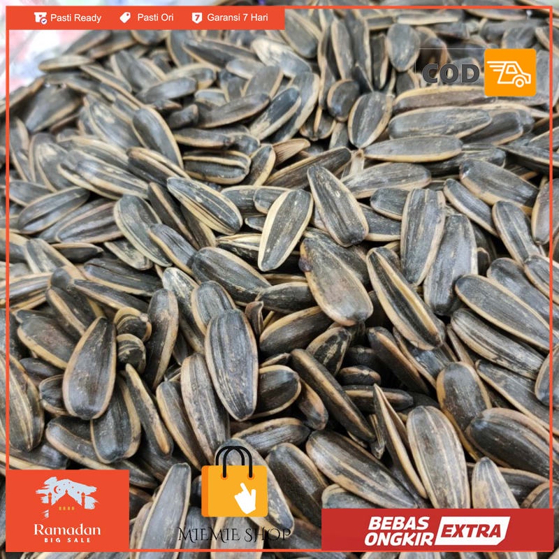 

biji kuaci matahari super 500gr