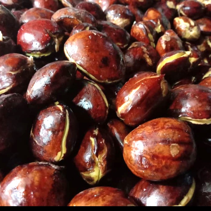 

JENGKOL/JENGKOL PILIHAN/1KG