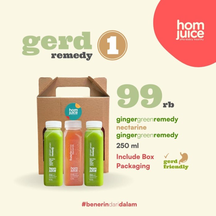 

GERD REMEDY 1.0 COLD PRESSED JUICE BY HOMJUICE (3 X 0,25L)