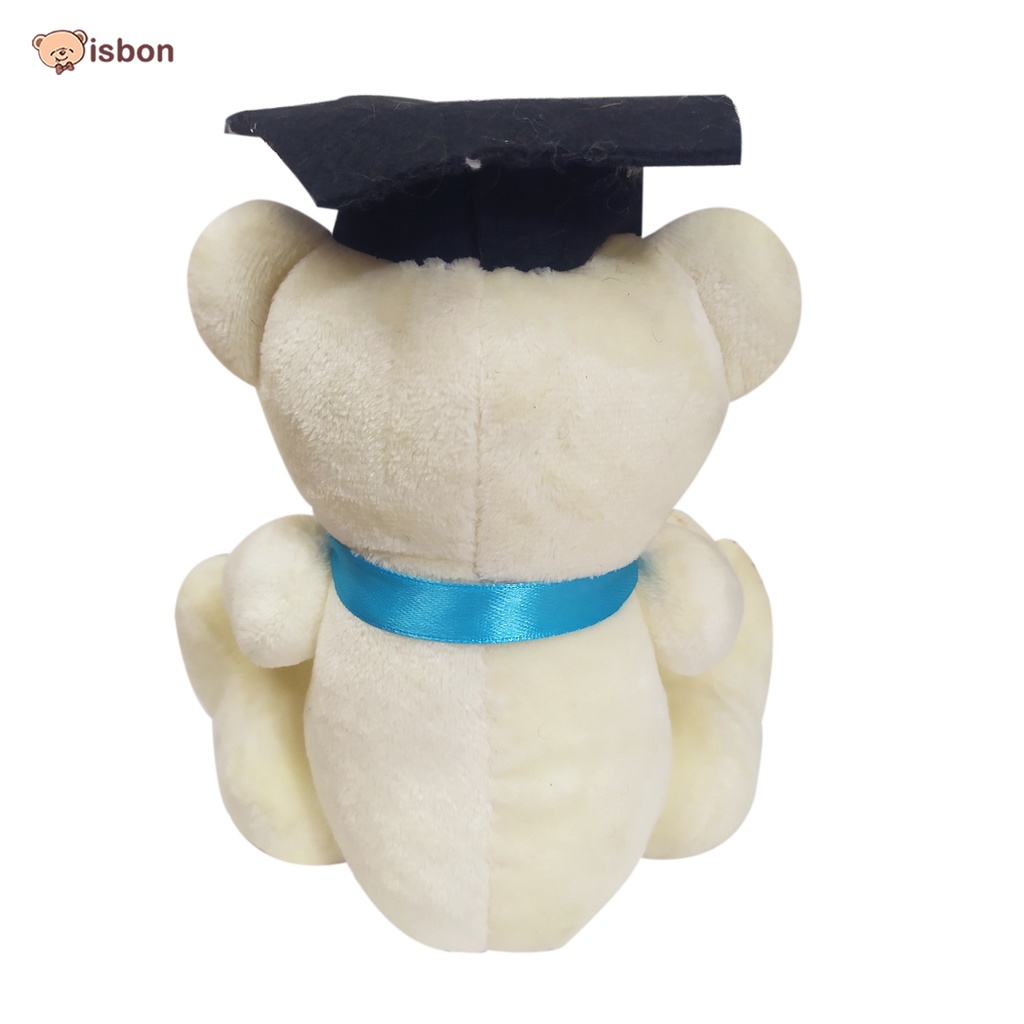 Boneka Beruang Joint Bear With Toga Graduation Wisuda Bucket Hadiah Sidang by Istana Boneka