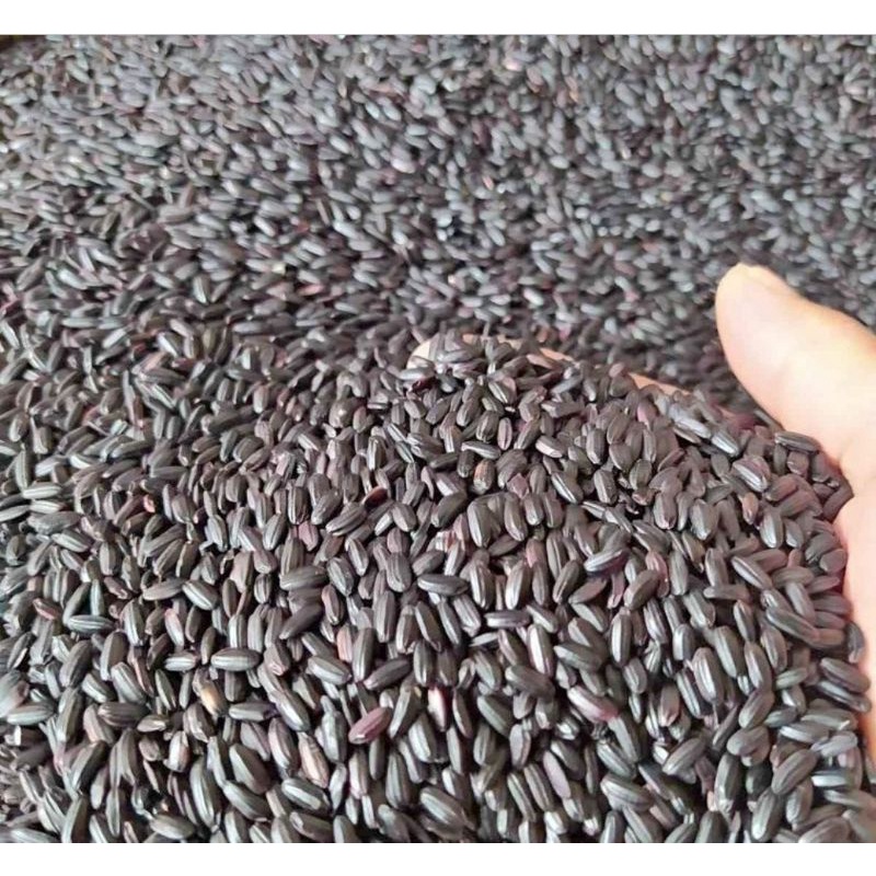 

BERAS ORGANIK HITAM KEMASAN VACUM 1 KG