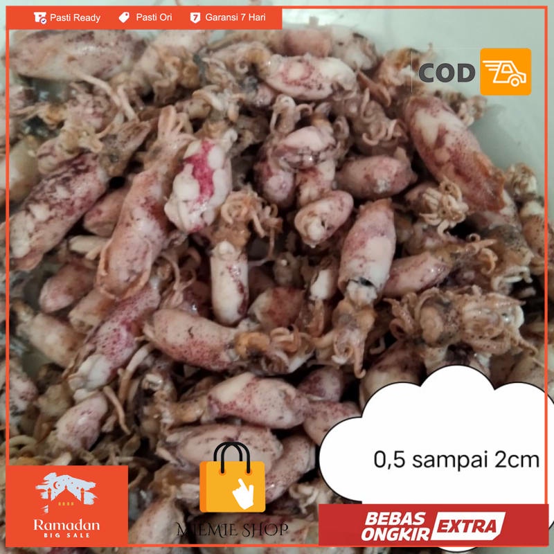 

Cumi asin beby/ super kecil/cumi asin beby/beby cumi asin imut - 1KG