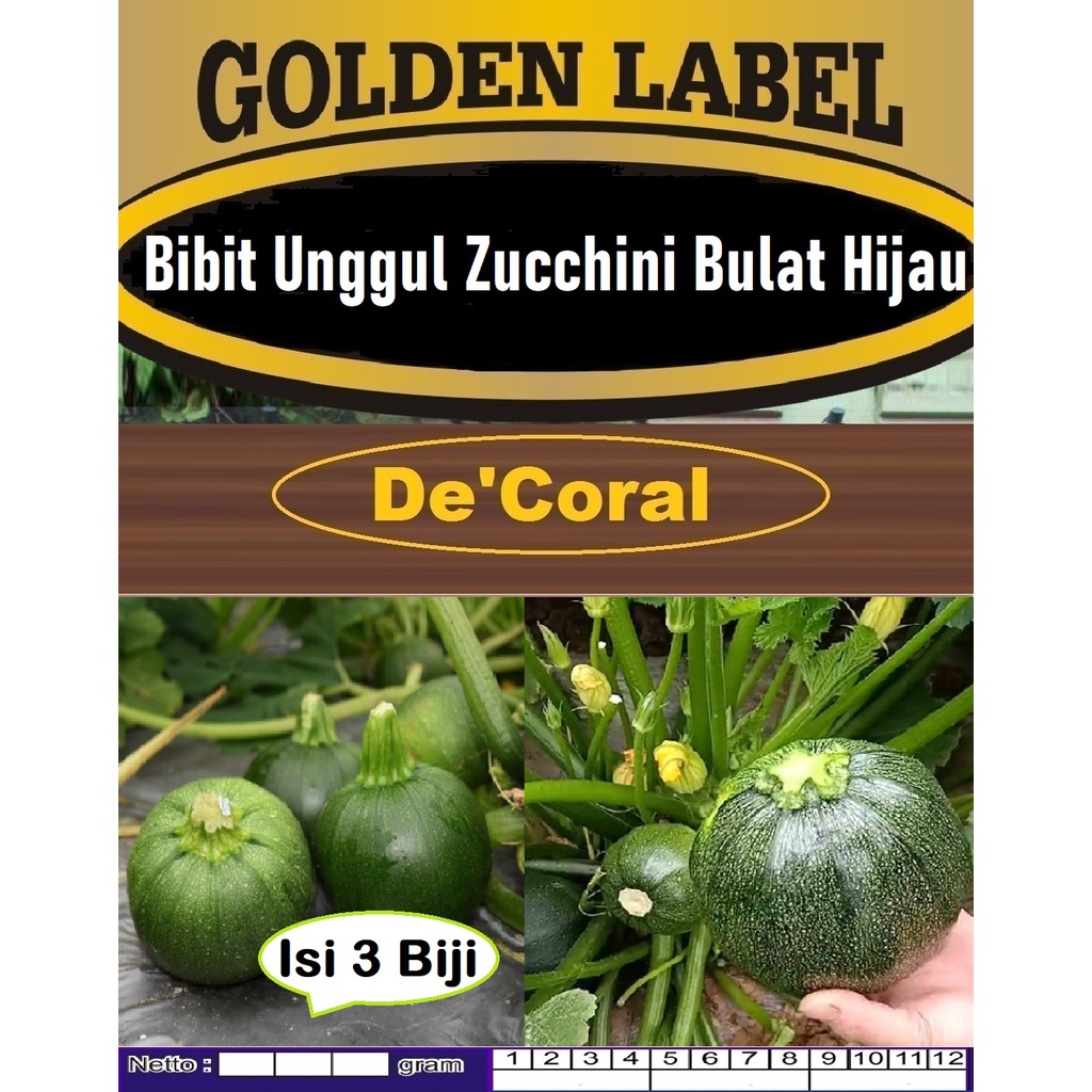 Bibit Unggul Zucchini Bulat Hijau | Biji Bibit Zukini Bulat Hijau | Zuchini Bulat