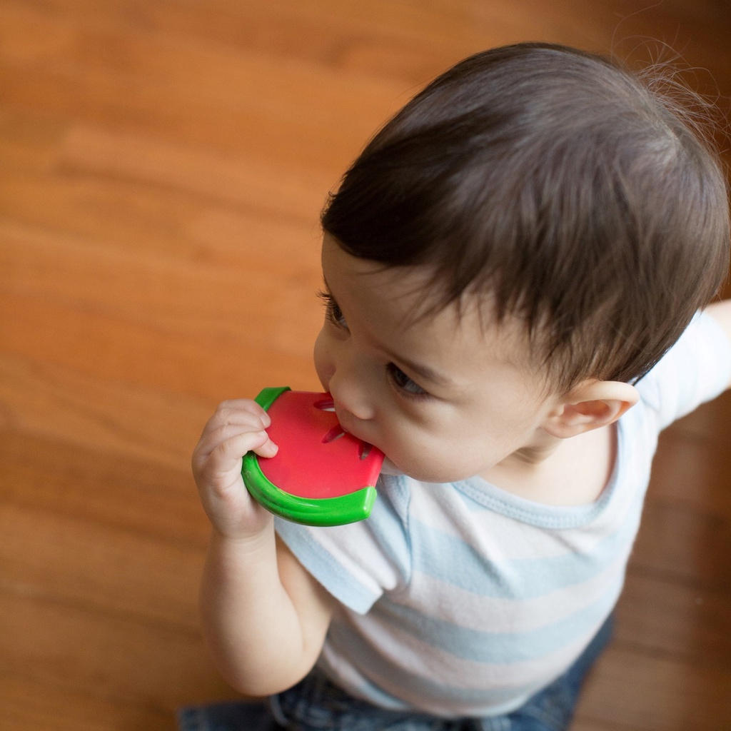 Dr Brown's Coolees Watermelon Gigitan Bayi Semangka Browns