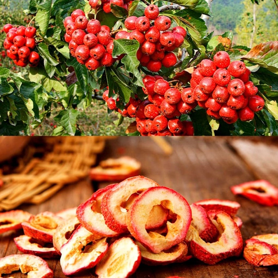 

HS buahShan-Ca Kering/Dried HAWTHORN Fruit/isi 50Gr sehat