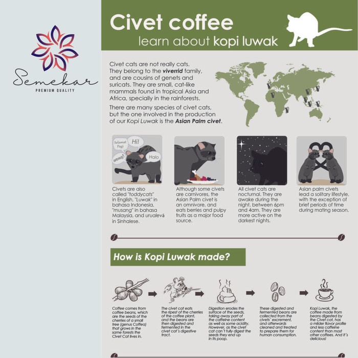

Kopi Luwak Liar Arabica Aceh Gayo Coffee Asli 100 gram fresh Semekar - 100 gram, Bean/ Biji