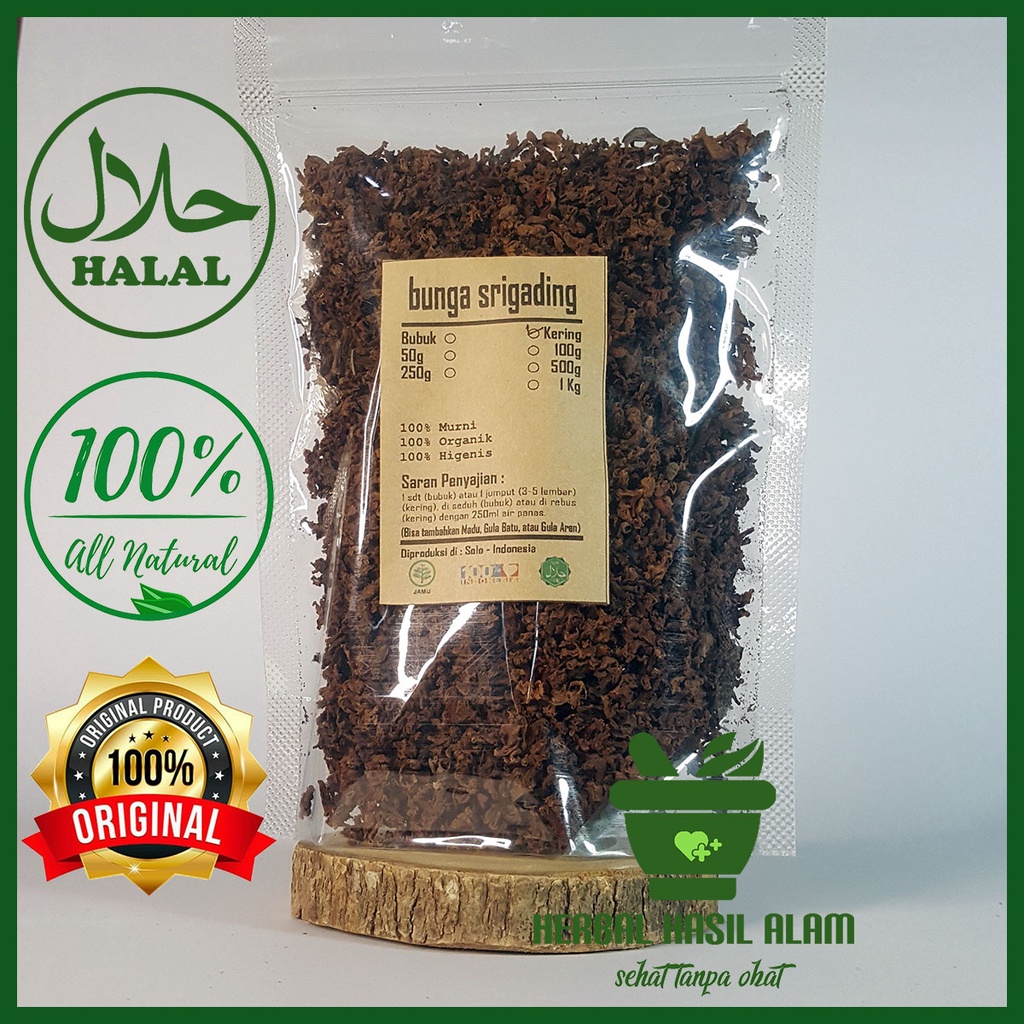 

Obat Herbal Rempah Teh Bunga Srigading Kering Murni - Nyctanthes Arbor-Tristis COD BAYAR DITEMPAT