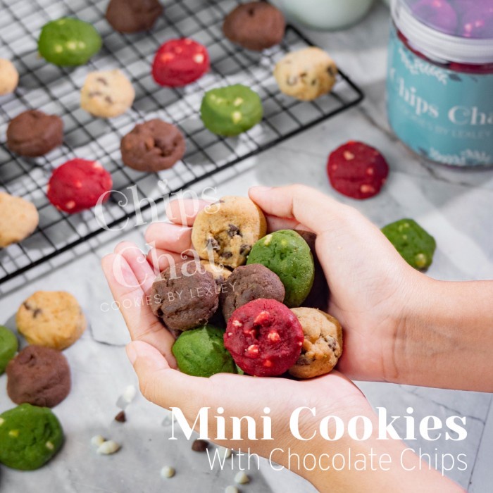 

✨NEW✨ -Best Soft Crunch Mini Cookies Hamper Paket Ultah Natal Lebaran Kado 1 - Classic Jar- 1.1.23