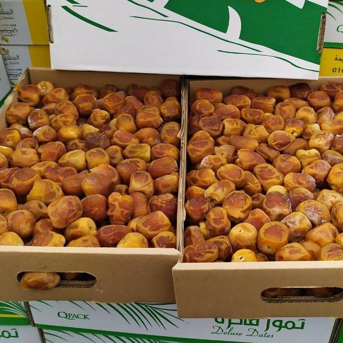 

Kurma Sukari Al Qasim 1Box 3Kg - Gudang Immune Promo Best Seller!