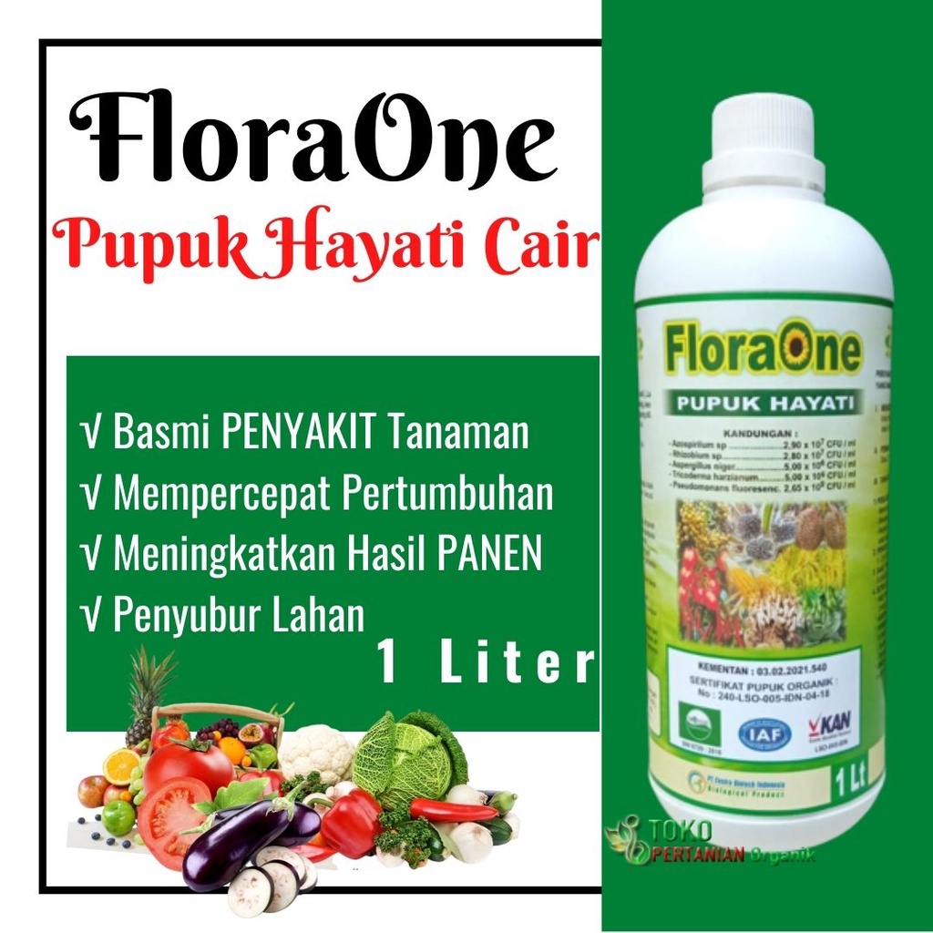 Fungisida Hayati Trichoderma Pengendali Busuk Buah Tanaman Cabe